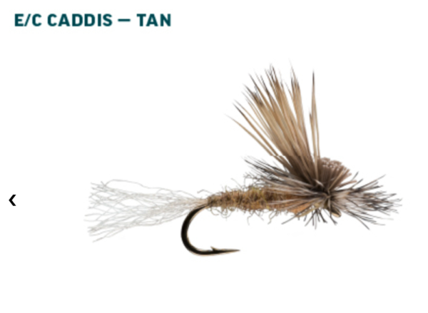 RIO Dry Fly Assortment Caddis Tan